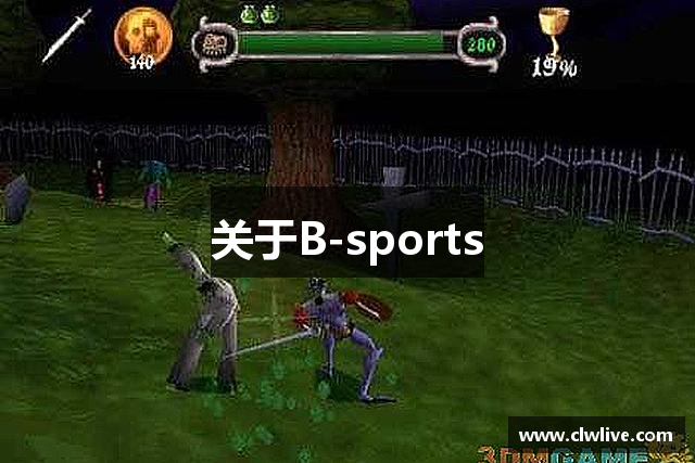 关于B-sports